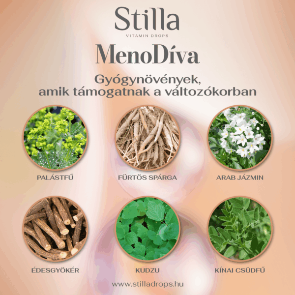 MenoDíva - Változókori tünetekre - 100 ml - Image 3